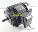 TECO 3.PHASE INDUCTION MOTOR