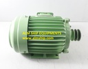 Teco AEEBKB-YD 3-Phase Induction Motor