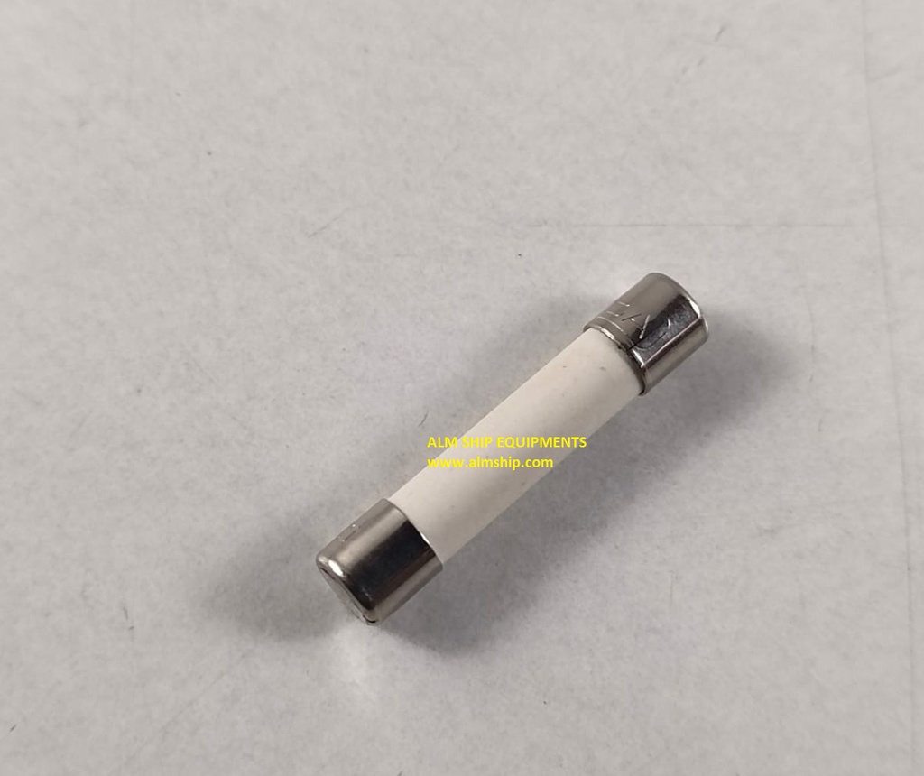 TEAMTEC FUSE LINK 5*25 MM,1A 250V(F)