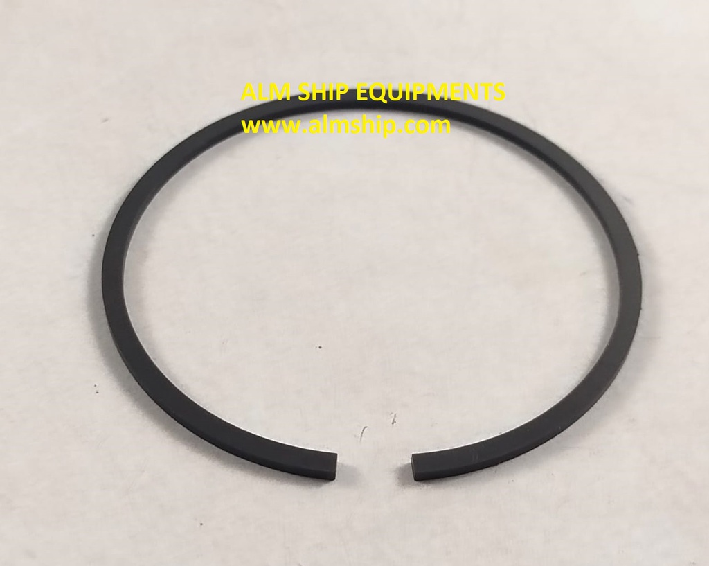 PISTON RING-HYDRAULIC MOTOR