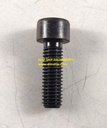 FRAMO SOCKET SCREW