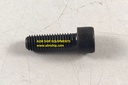 FRAMO SOCKET SCREW