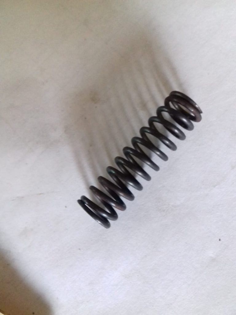 COIL SPRING (OIL SAFETY VALVE)