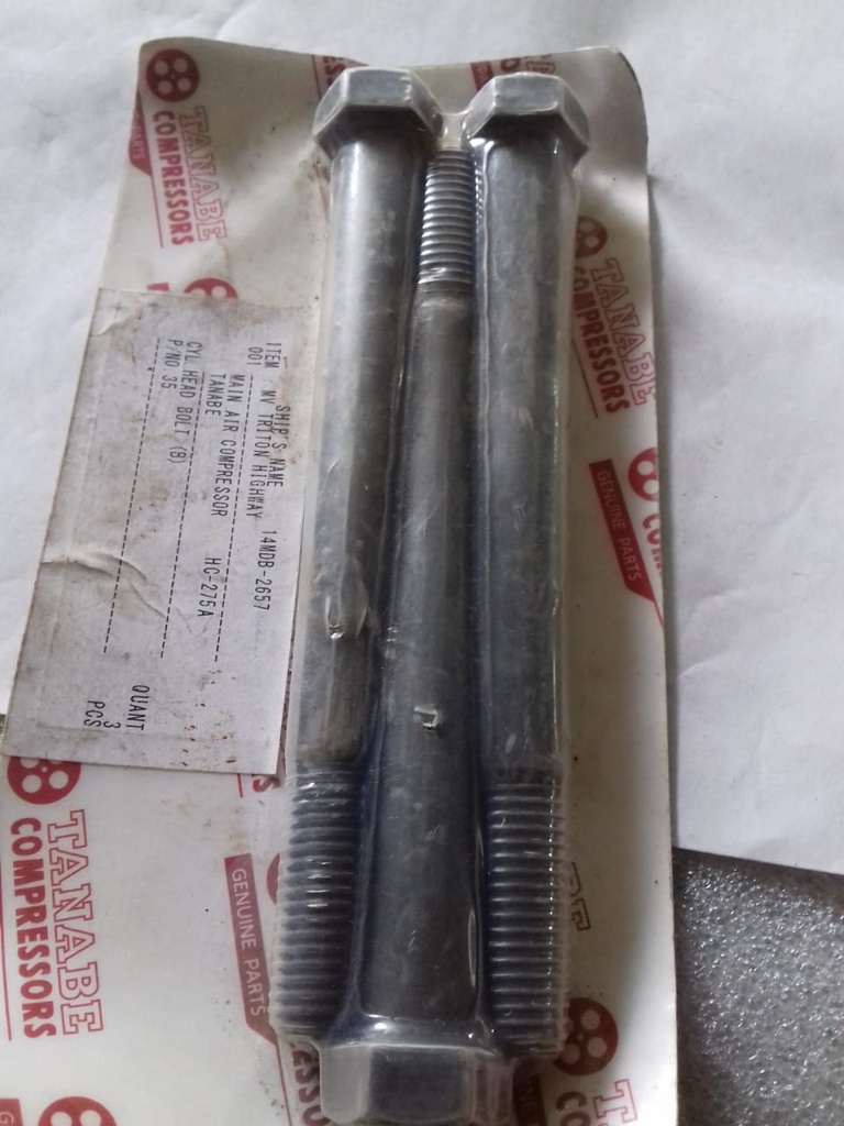 CYL. HEAD BOLT (B)