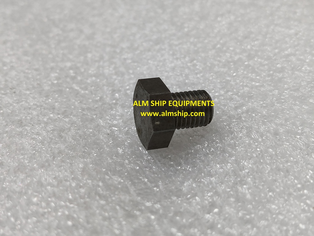 Hexagon Head Plug M8/ 6-N-21(A)L-DN