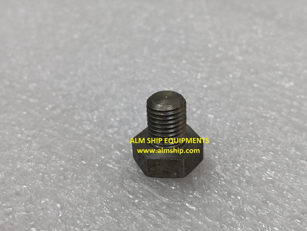 Hexagon Head Plug M8/ 6-N-21(A)L-DN