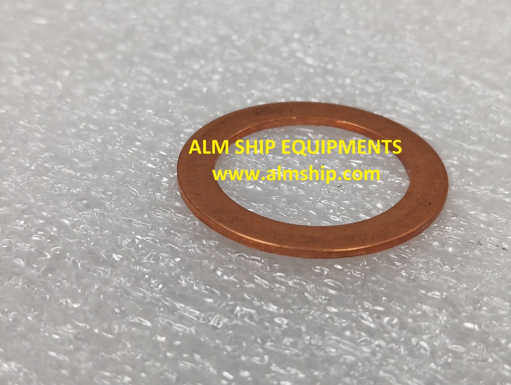 Gasket Copper/6-N-21(A)L-DN