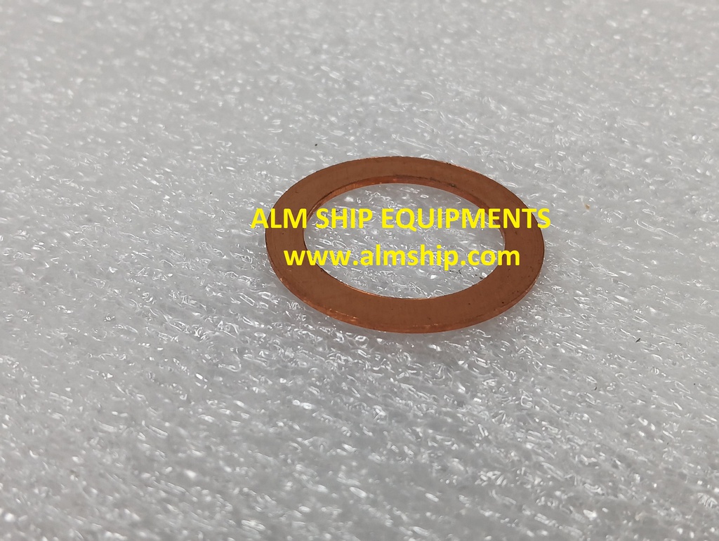 Gasket Copper/6-N-21(A)L-DN