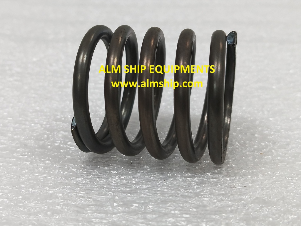 Spring/ 6-N-21(A)L-DN