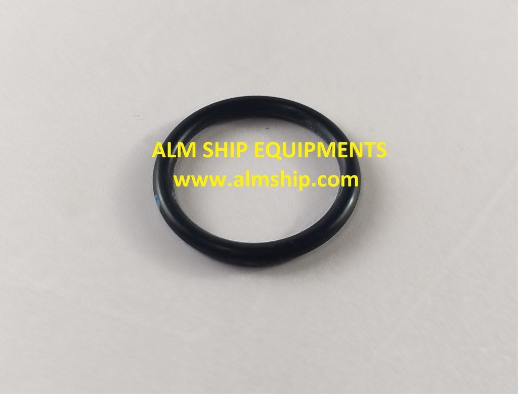 O-RING 68-11-00.055 P20