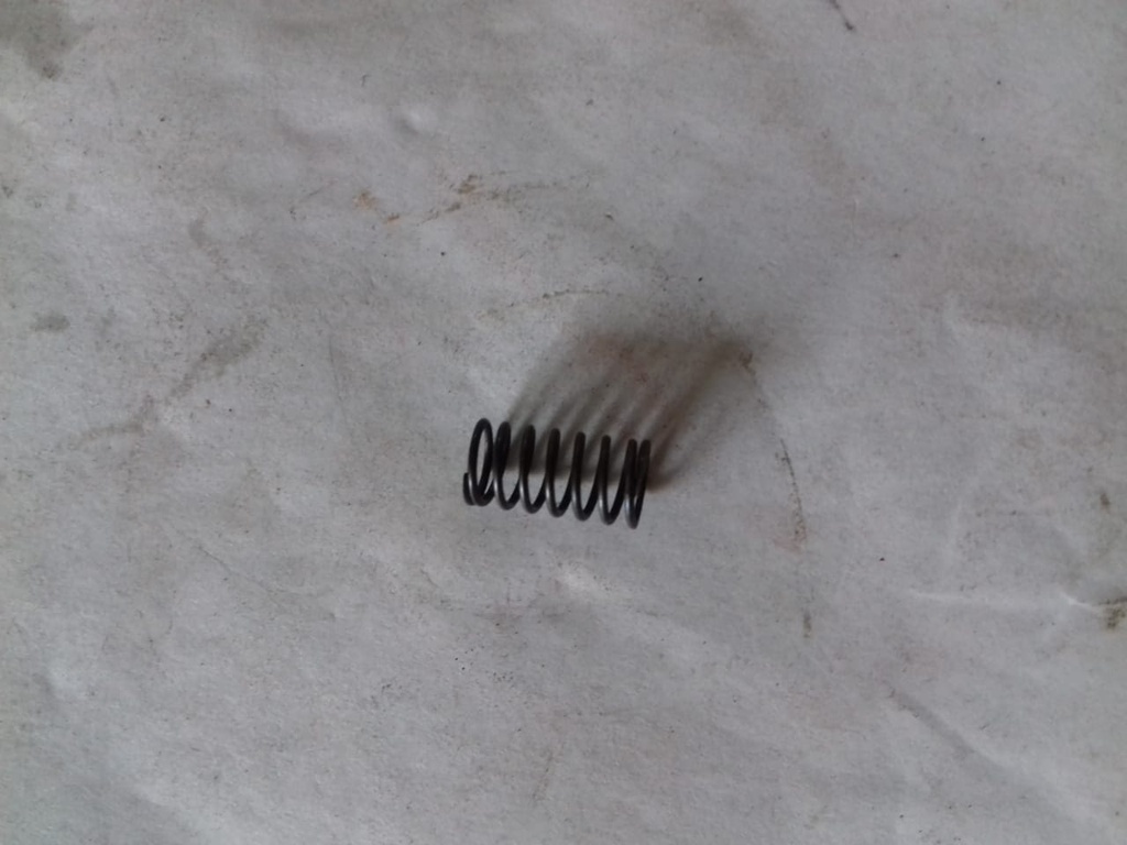 VALVE SPRING (2ND STAGE)