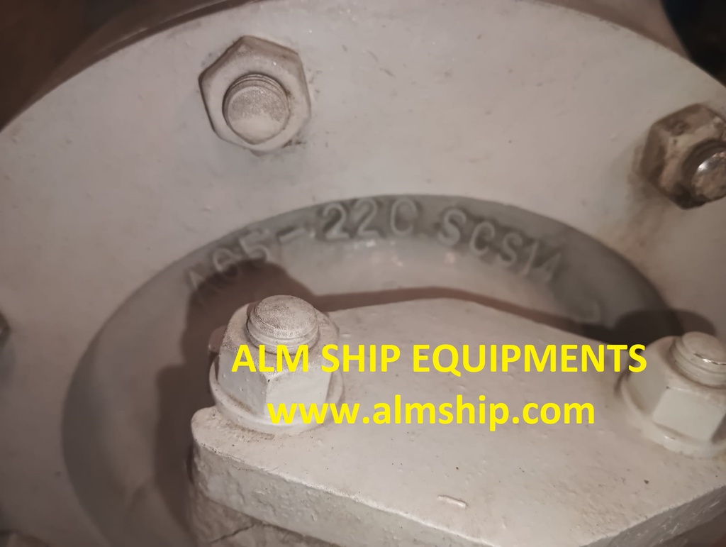 Torishima Pump CNA65-22 Water Pump