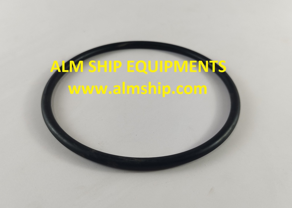 SHINKO O-RING 31 R080421001