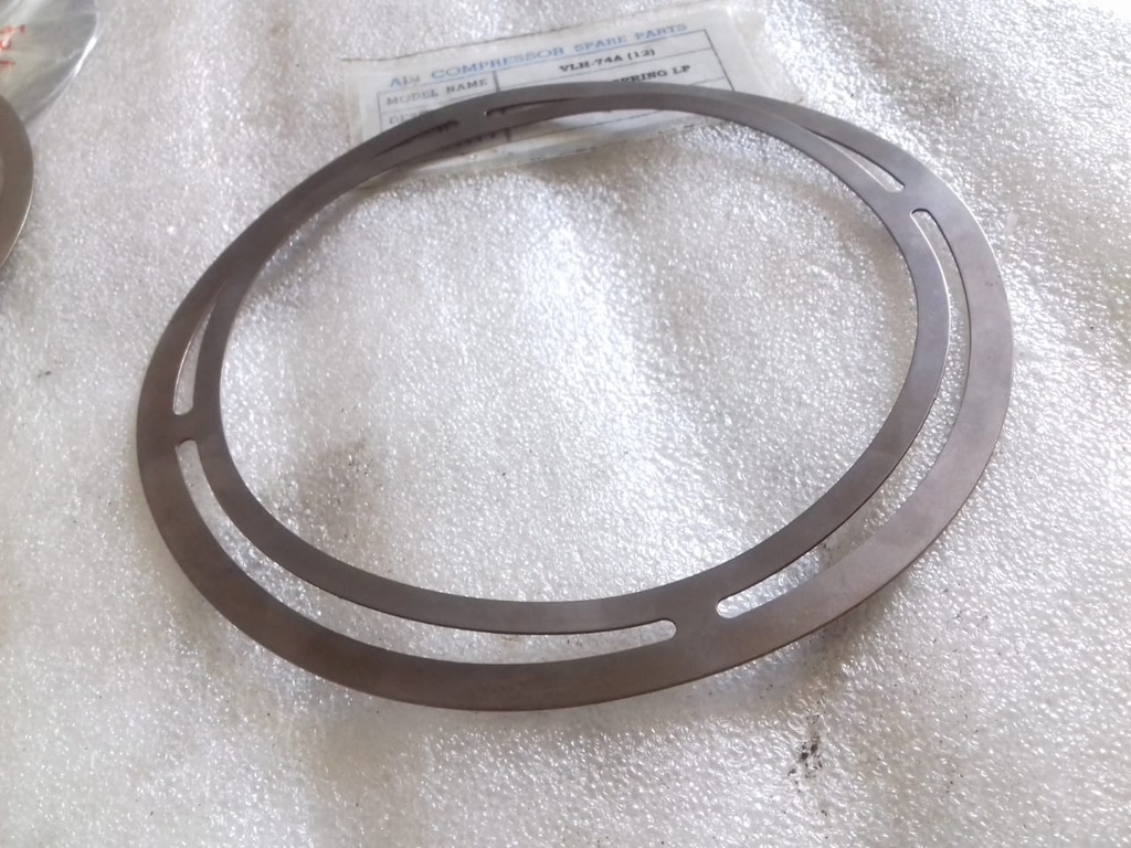 DEL VALVE SPRING LP