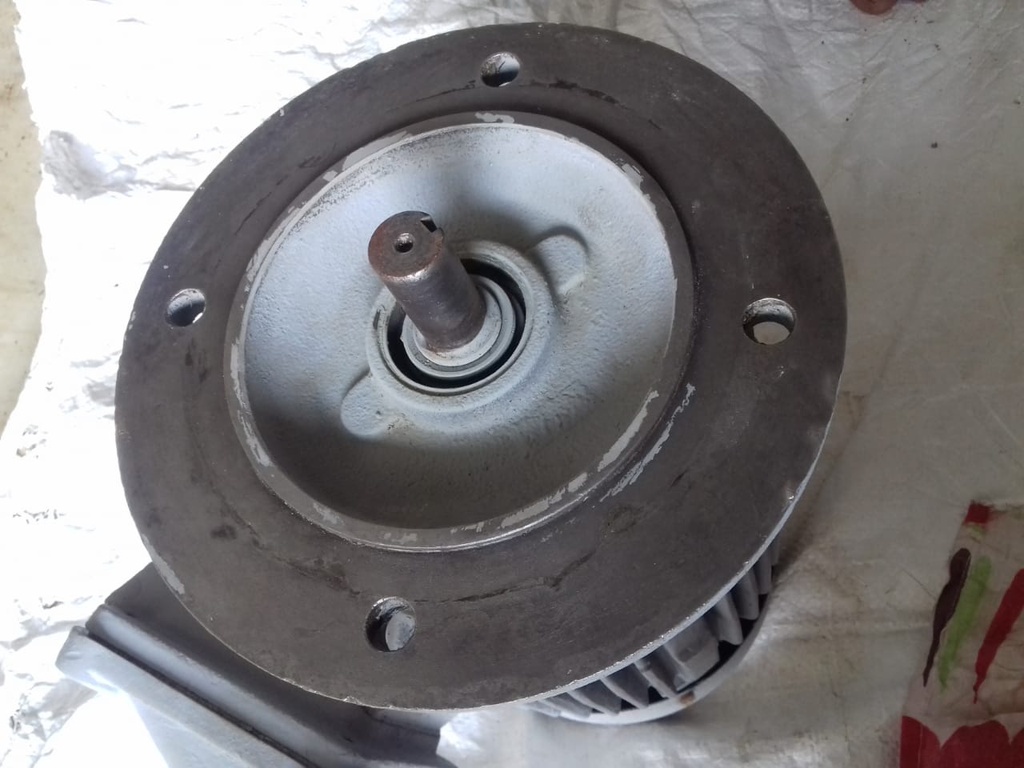 ELECTRIC MOTOR EELU-50 FLANGE MOUNTED