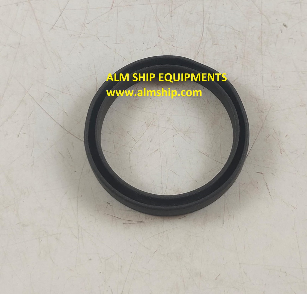 LIP SEAL (NEW)