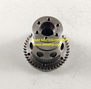 STEM (USED)
