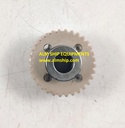 WORM WHEEL (NEW)