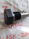 GUIDE SCREW-KAWASAKI 8S60MCE