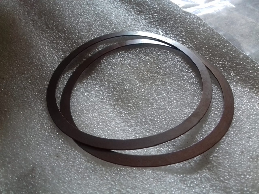 DEL VALVE SPRING HP