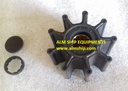 IMPELLER PUMP