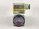Oval Hydraulic Indicator PI45B10 726.3CC
