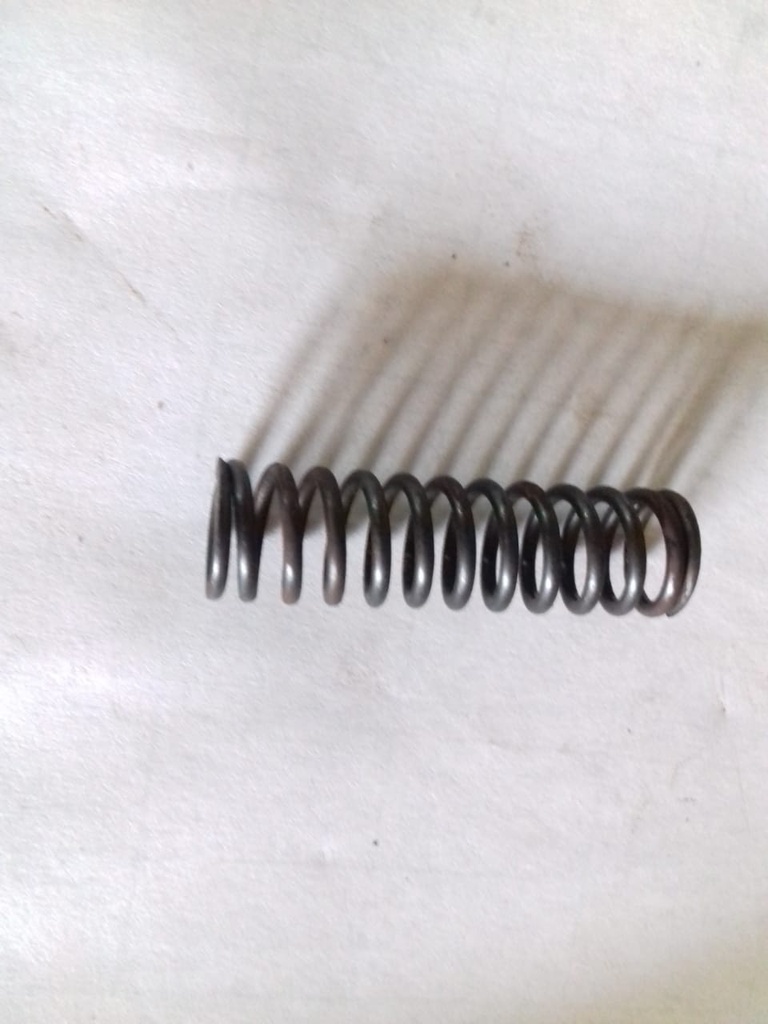 COIL SPRING (OIL SAFETY VALVE)