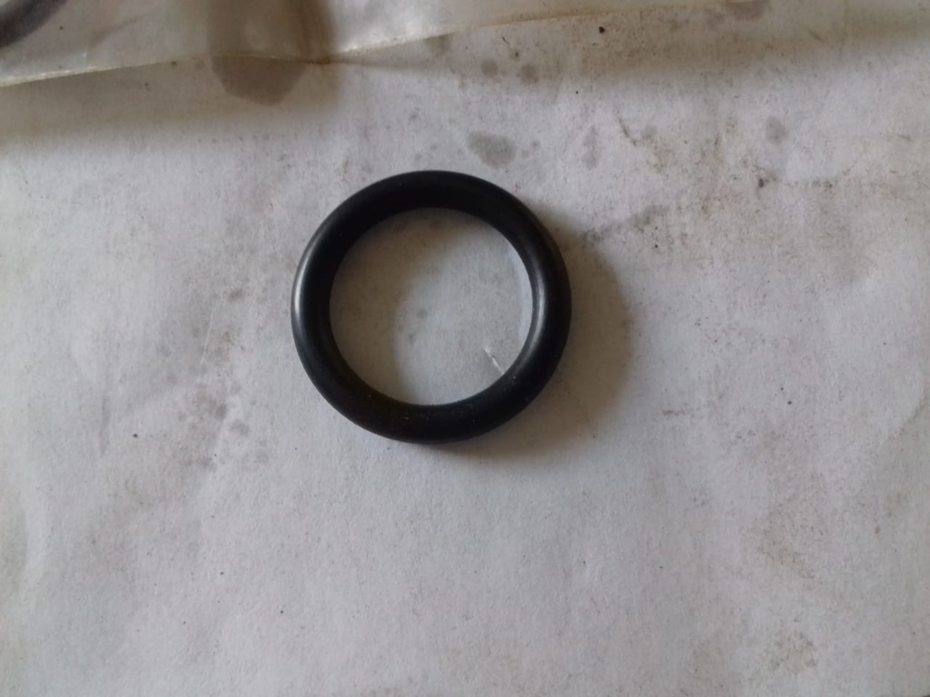 O-RING SEAL DISK