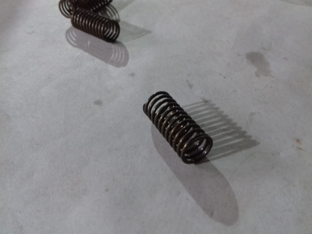 DELIVERY VALVE SPRING