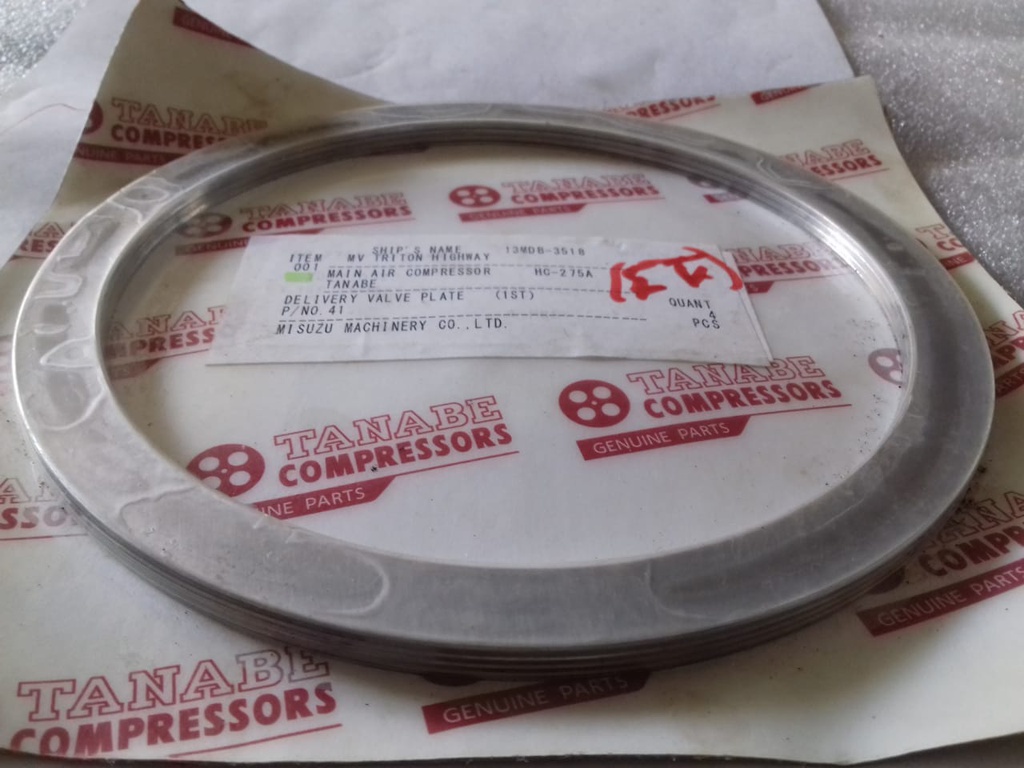 DELIVERY VALVE PLATE