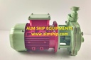 DESMI FRESH WATER GENERATOR PUMP PVVF 1532.2X-012 WITH-MOTOR