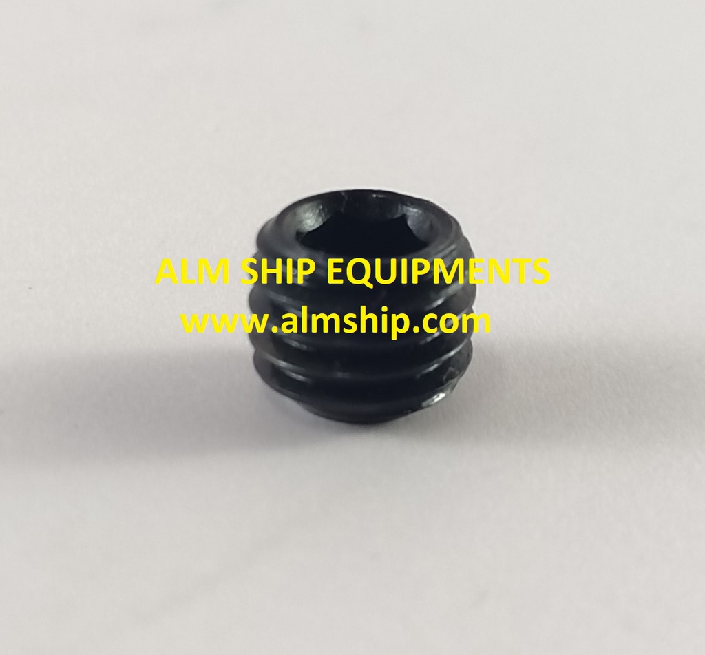 SCREW 65 302090.131-HSMW