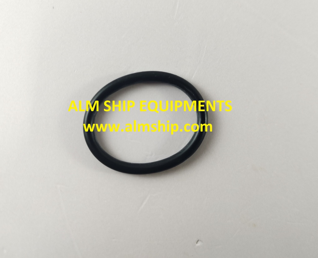 O-RING 68-11-00.054 P29