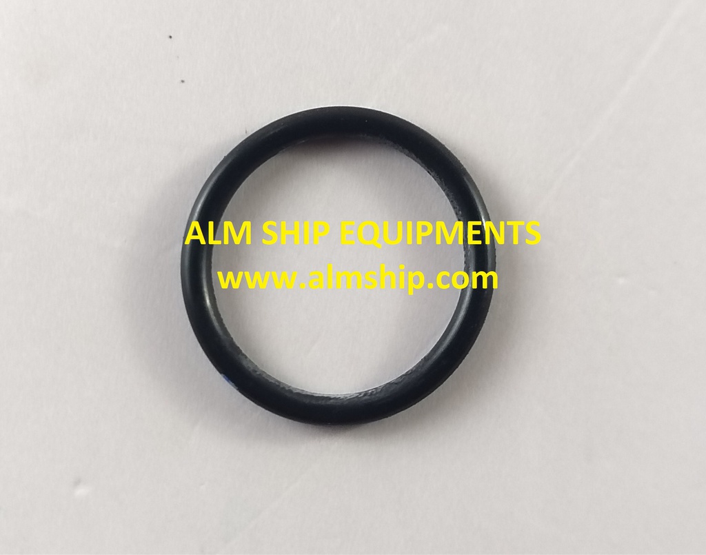 O-RING 68-11-00.055 P20
