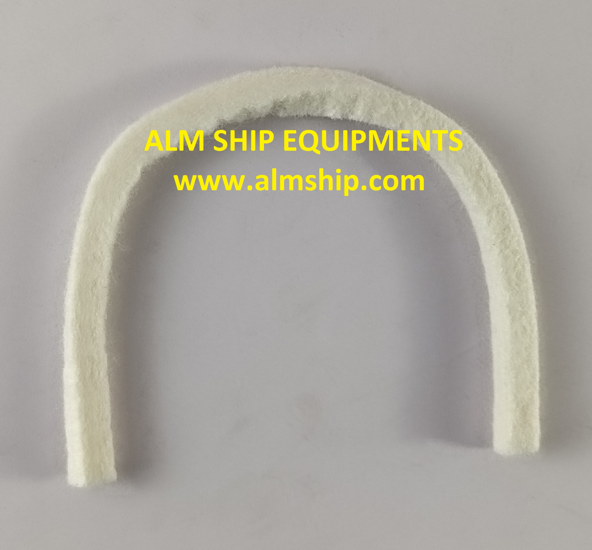 SHINKO PACKING RING 231 R160108005