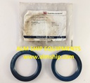 FRAMO OIL SEAL 12054 38