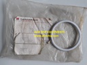 Framo Seal Element