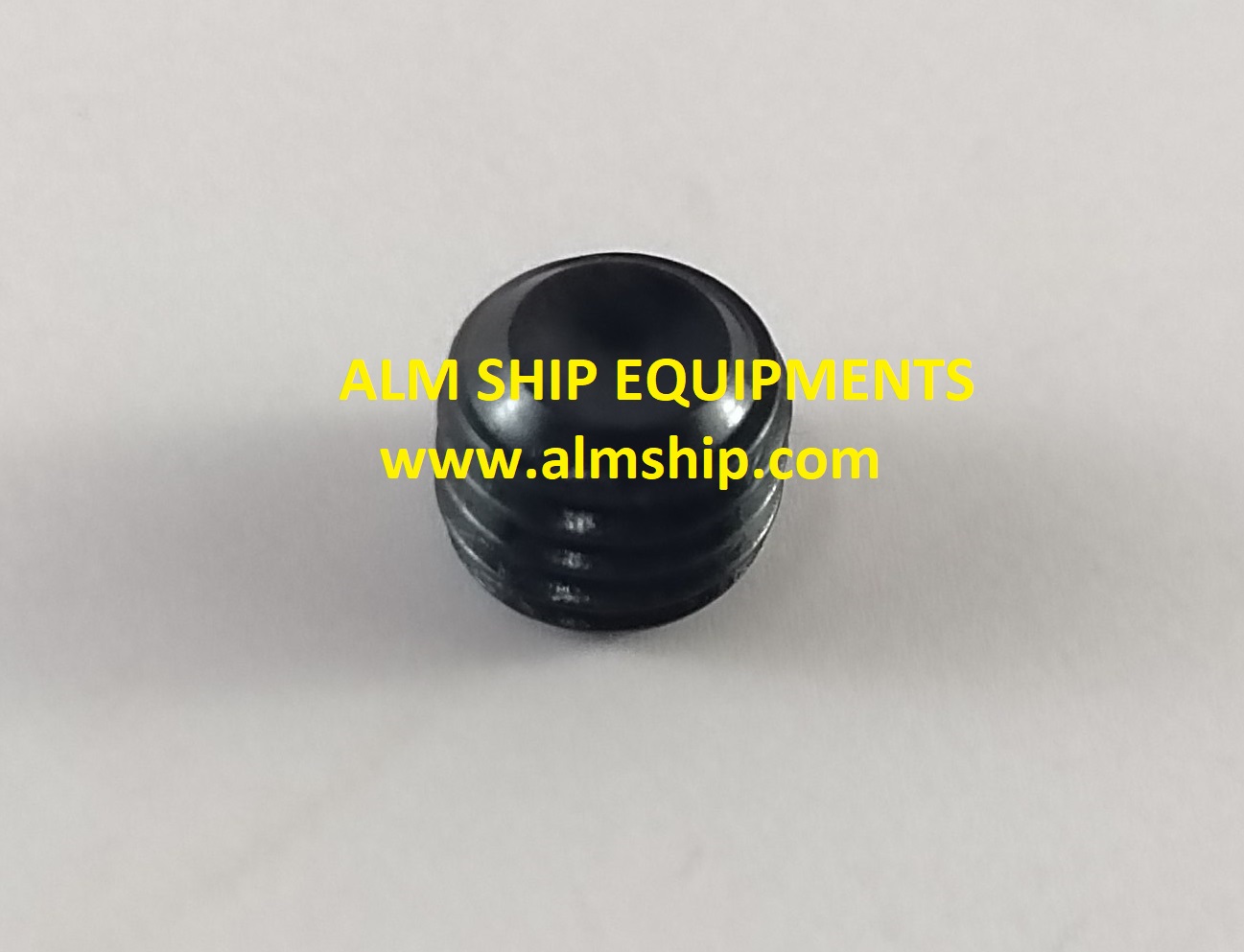 SCREW 65 302090.131-HSMW